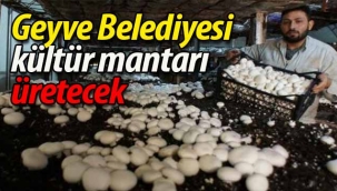 Geyve Belediyesi kültür mantarı üretim işine giriyor