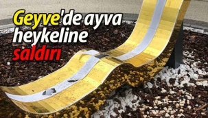 Geyve'de ayva heykeline saldırı