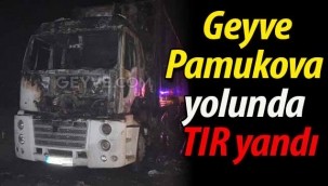 Geyve-Pamukova yolunda TIR yandı