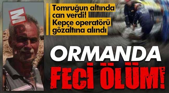 Ormanda feci ölüm. Tomruğun altında kaldı