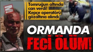 Ormanda feci ölüm. Tomruğun altında kaldı