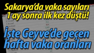 Sakarya'da vaka sayıları 1 ay sonra ilk kez düştü! 