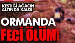 Sapanca'da ormanda feci ölüm! 