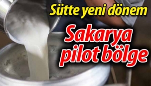 Sütte yeni dönem.. Sakarya pilot bölge