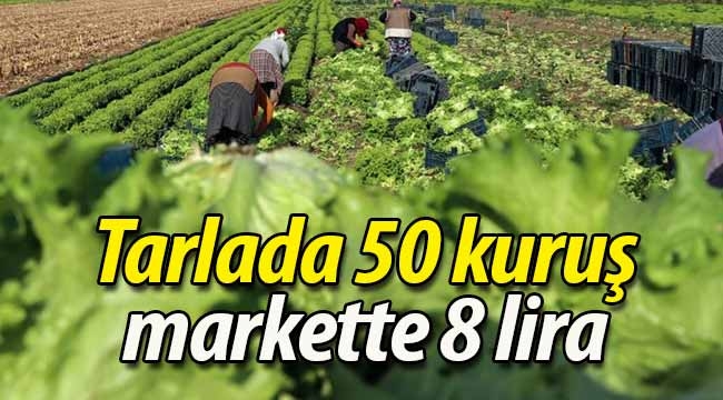 Tarlada 50 kuruş, markette 8 lira