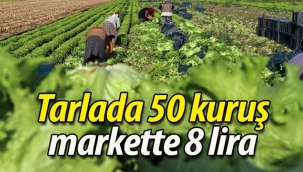 Tarlada 50 kuruş, markette 8 lira