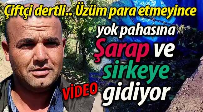 Üretici dertli.. Üzüm para etmeyince şarap ve sirkeye gidiyor