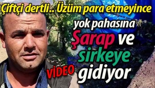 Üretici dertli.. Üzüm para etmeyince şarap ve sirkeye gidiyor