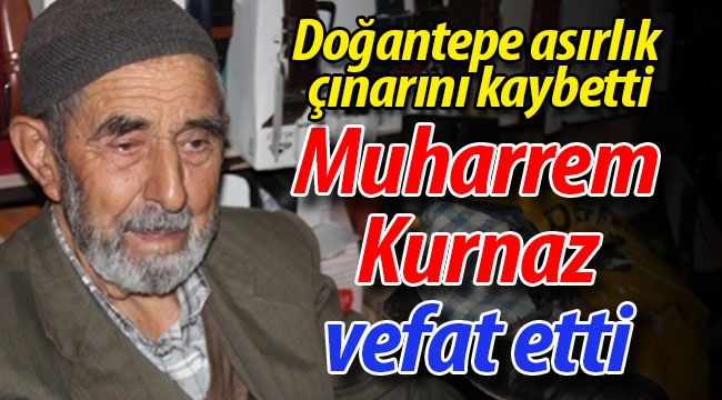 Doğantepe, asırlık çınarını kaybetti