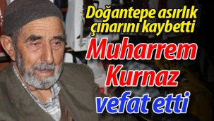 Doğantepe, asırlık çınarını kaybetti