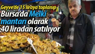 Geyve'de 15 liraya toplanıp Bursa'da 40 liraya satılıyor