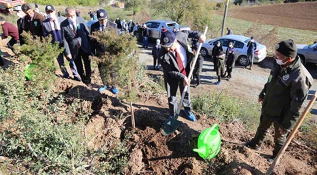 Geyve'de Milli Ağaçlandırma Günü