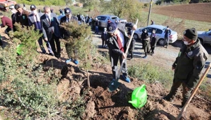Geyve'de Milli Ağaçlandırma Günü