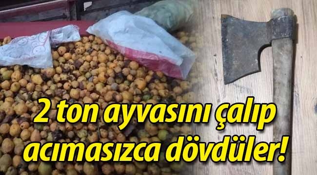 2 ton ayvasını çalıp, acımasızca dövdüler!