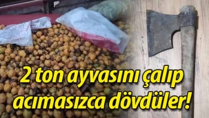 2 ton ayvasını çalıp, acımasızca dövdüler!