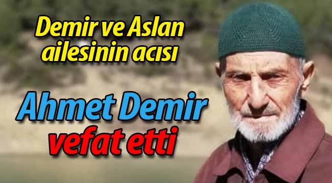 Demir ve Aslan ailesinin acısı