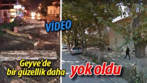 Geyve'de bir güzellik daha yok oldu!