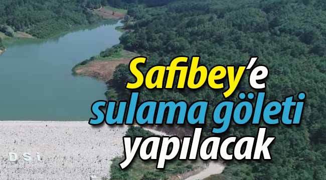 Safibey göleti için Planlama Raporu hazırlanacak