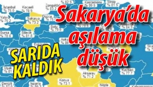 Sakarya'da aşılama düşük