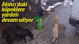 Akıncı'daki köpeklere yardım devam ediyor