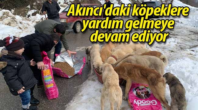 Akıncı'daki köpeklere yardım gelmeye devam ediyor