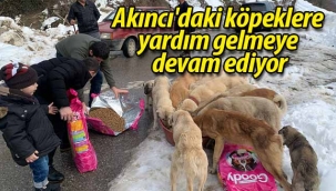 Akıncı'daki köpeklere yardım gelmeye devam ediyor