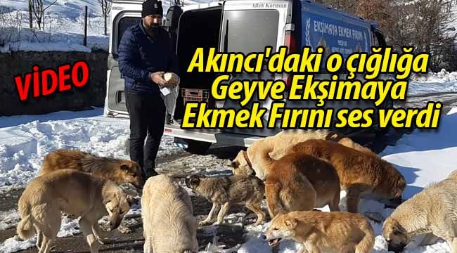 Geyve Akıncı'daki o çığlığa Ekşimaya Ekmek Fırını ses verdi