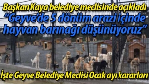 Geyve Belediyesi hayvan barınağı yapacak