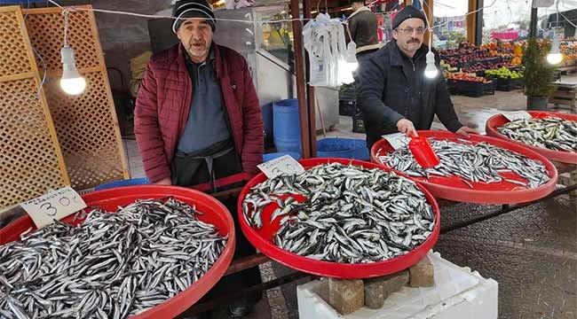 Geyve'de hamsi tezgahları süsledi