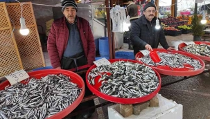 Geyve'de hamsi tezgahları süsledi