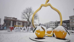 Geyve'de kar güzelliği