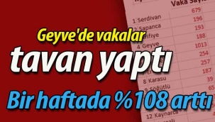 Geyve'de vakalar tavan yaptı