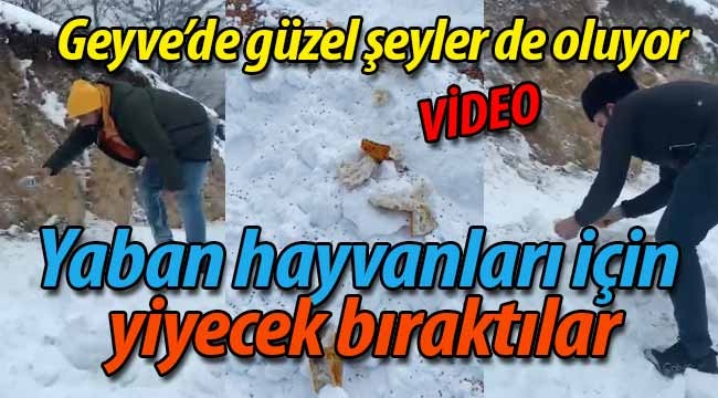 Geyve'de yaban hayvanları için doğaya yiyecek bıraktılar