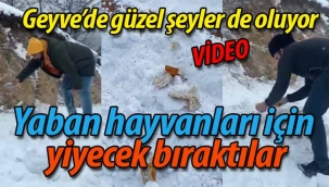 Geyve'de yaban hayvanları için doğaya yiyecek bıraktılar