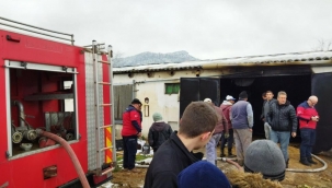 Geyve Kozan'da tavuk çiftliğinde yangın