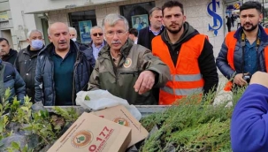 Geyve Orman İşletme fidan dağıttı