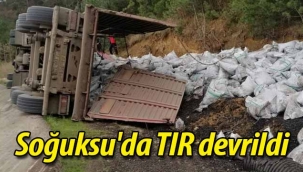 Geyve Soğuksu'da kömür yüklü tır devrildi