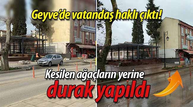 Kesilen ağaçların yerine durak yapıldı