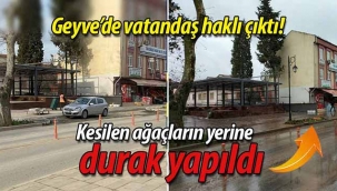 Kesilen ağaçların yerine durak yapıldı