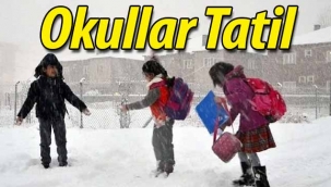 SON DAKİKA! Sakarya'da kar tatili uzatıldı!