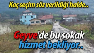 Geyve'de bu sokak hizmet bekliyor..
