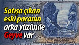 Satışa çıkan eski paranın üzerinde Geyve var!