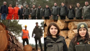 24 saat "ağaç nöbeti"ndeler