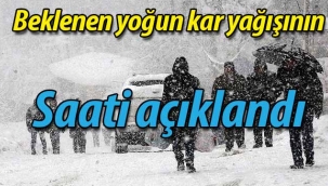 Sakarya Valiliği'nden kuvvetli kar yağışı uyarısı!