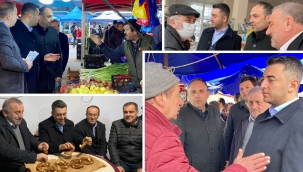 DEVA Partisi'nden Geyve çıkarması