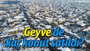 Geçen yıl Geyve'de kaç konut satıldı?