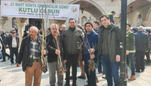 Geyve'de ücretsiz 1600 adet fidan dağıtıldı