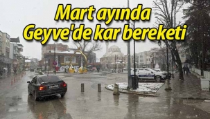 Mart ayında Geyve'de kar bereketi