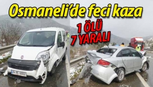 Osmaneli'de feci kaza 1 ölü 7 yaralı