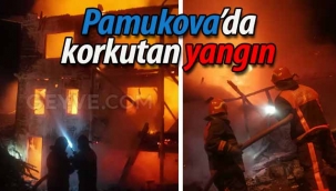 Pamukova'da korkutan yangın!